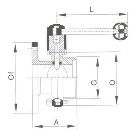 BUTTERFLY VALVE (FLANGED) (INOX)