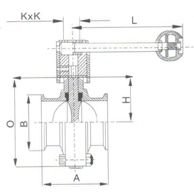 BUTTERFLY VALVE (TC END) (INOX)